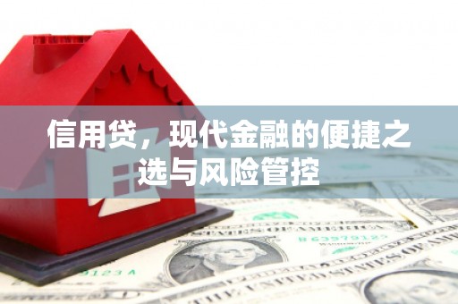 大通信用贷，现代金融的便捷之选与风险管控