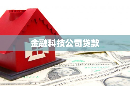 大通金融科技公司贷款