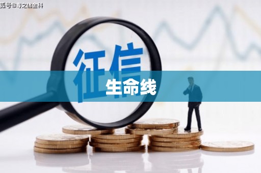 大通生命线