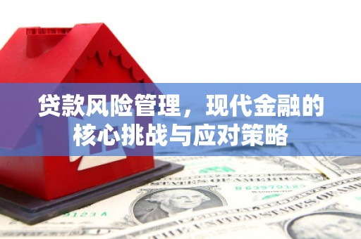 大通贷款风险管理，现代金融的核心挑战与应对策略