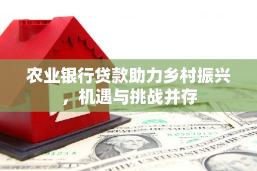 大通农业银行贷款助力乡村振兴，机遇与挑战并存