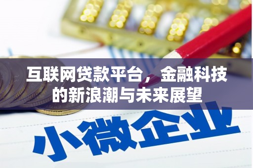 大通互联网贷款平台，金融科技的新浪潮与未来展望