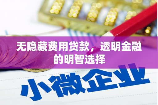 大通无隐藏费用贷款，透明金融的明智选择