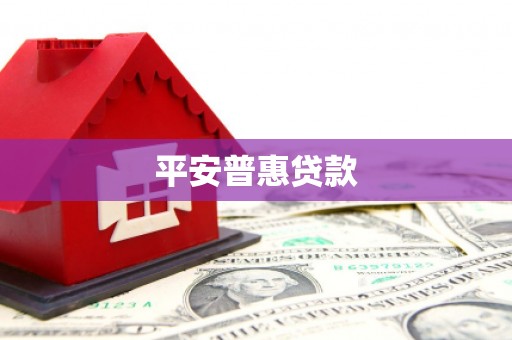 大通平安普惠贷款