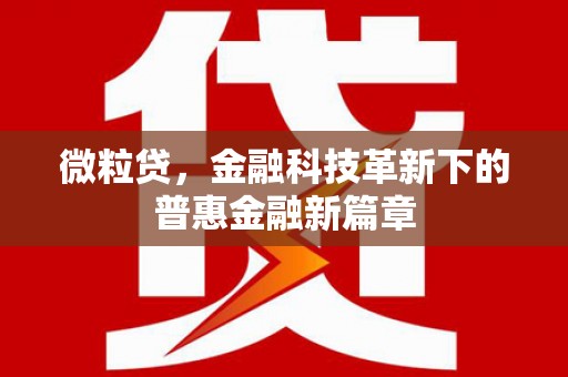 大通微粒贷，金融科技革新下的普惠金融新篇章