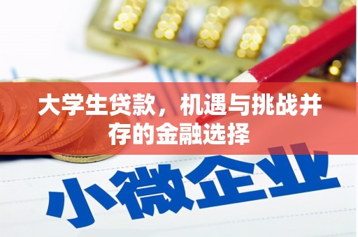 大通大学生贷款，机遇与挑战并存的金融选择