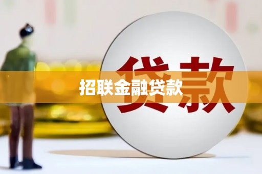 大通招联金融贷款