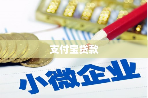 大通支付宝贷款