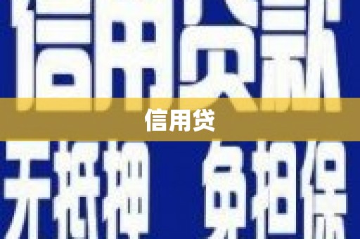 大通信用贷