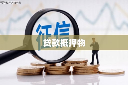 大通贷款抵押物