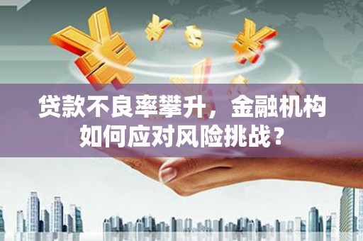 大通贷款不良率攀升，金融机构如何应对风险挑战？