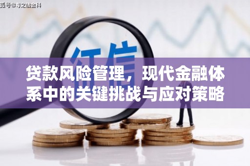 大通贷款风险管理，现代金融体系中的关键挑战与应对策略