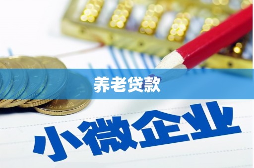 大通养老贷款