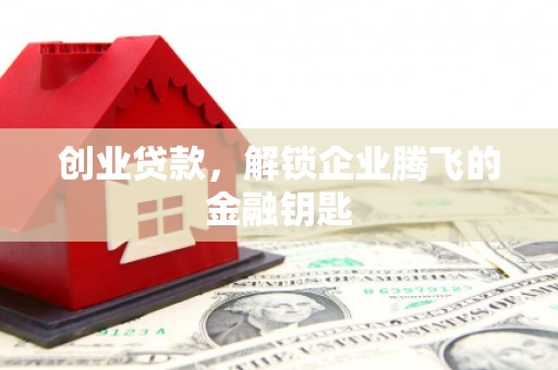大通创业贷款，解锁企业腾飞的金融钥匙