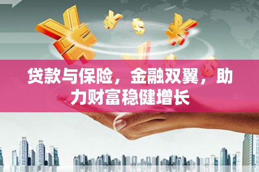 大通贷款与保险，金融双翼，助力财富稳健增长