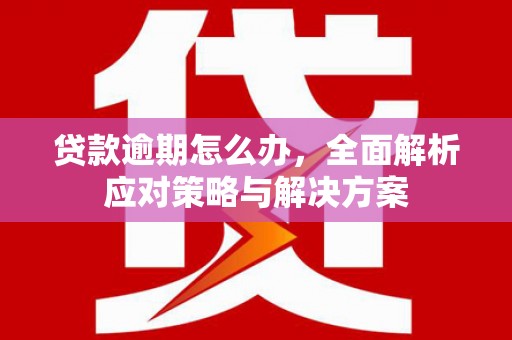 大通贷款逾期怎么办，全面解析应对策略与解决方案